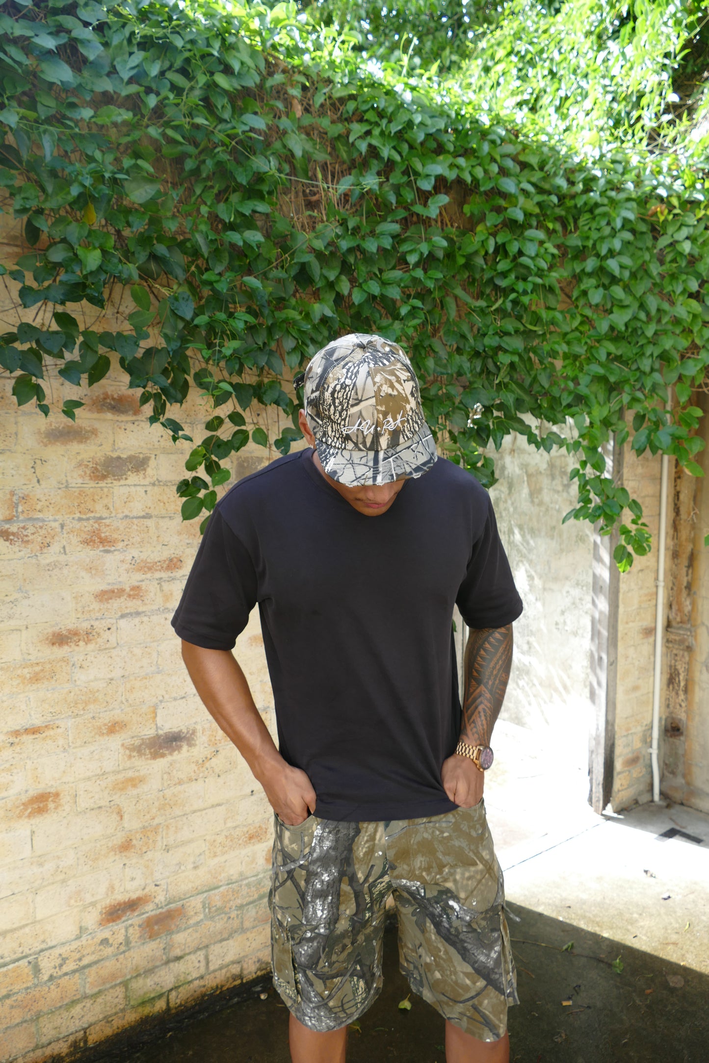 Hidden Influence 2.0 Ash